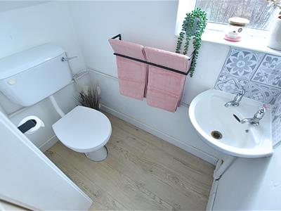 Picture 13